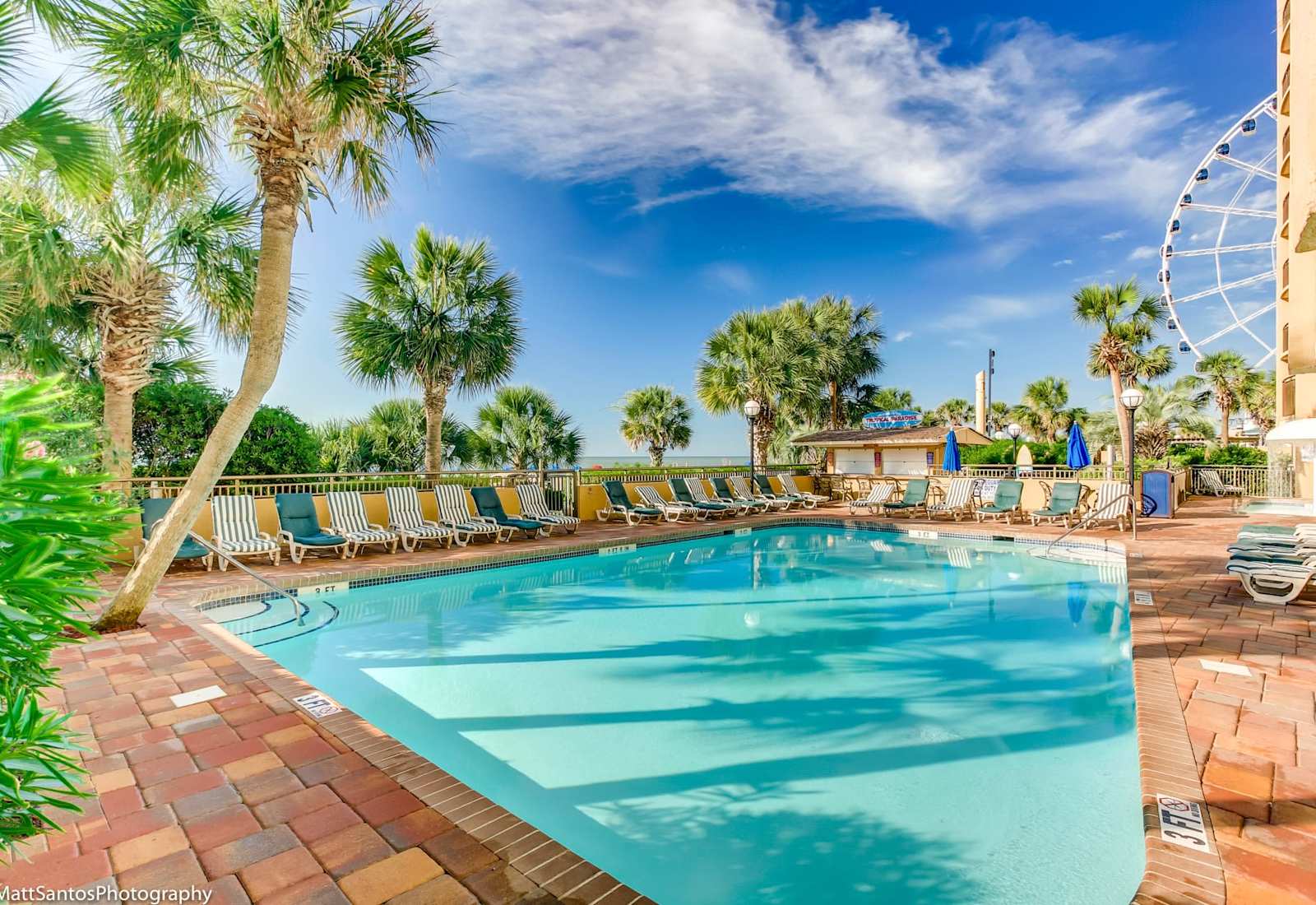 Relax by the sparkling pool, surrounded by lush palm trees and breathtaking ocean views.