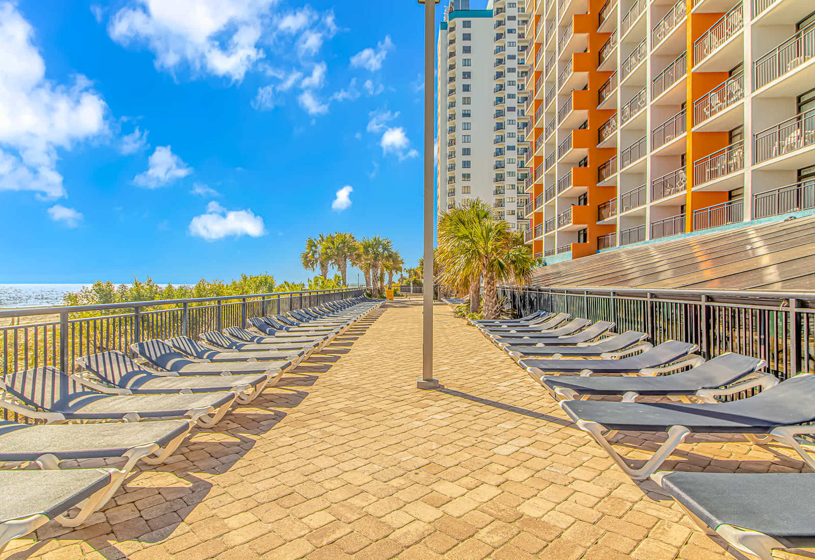 Spacious sun deck with plenty of lounge chairs, palm trees, and ocean views for relaxing between beach and pool time.