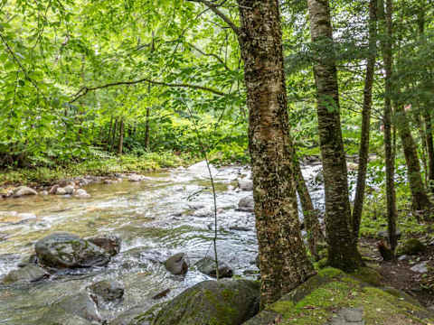 Vermont 2BR | Stowe Slopes & Swimming Holes photo 15