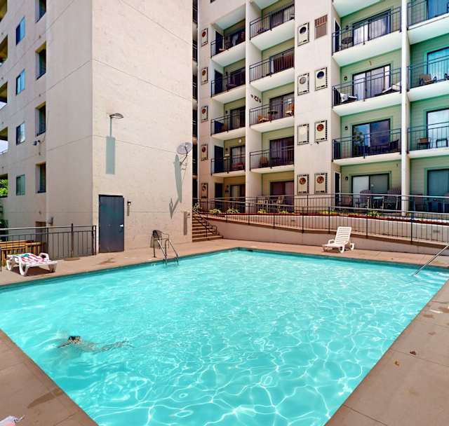 Laurel Inn Condominiums – Black Bear Boogie