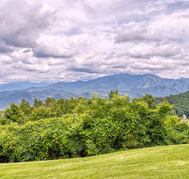Gatlinburg Summit – Summit Splendor