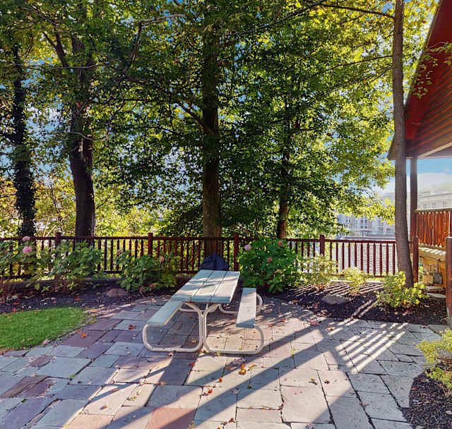 Black Bear Hideaway Cabin