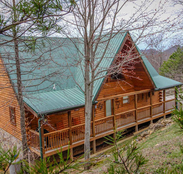 Giddy Up Cabin