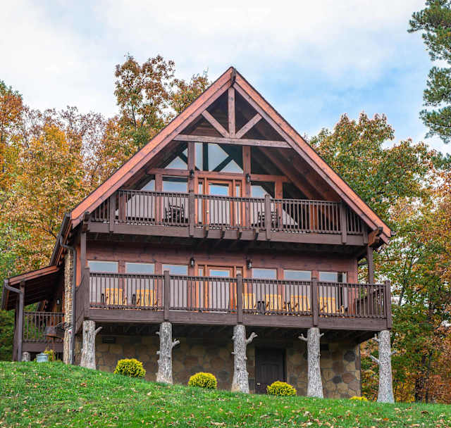 The Laughing Salamander Cabin
