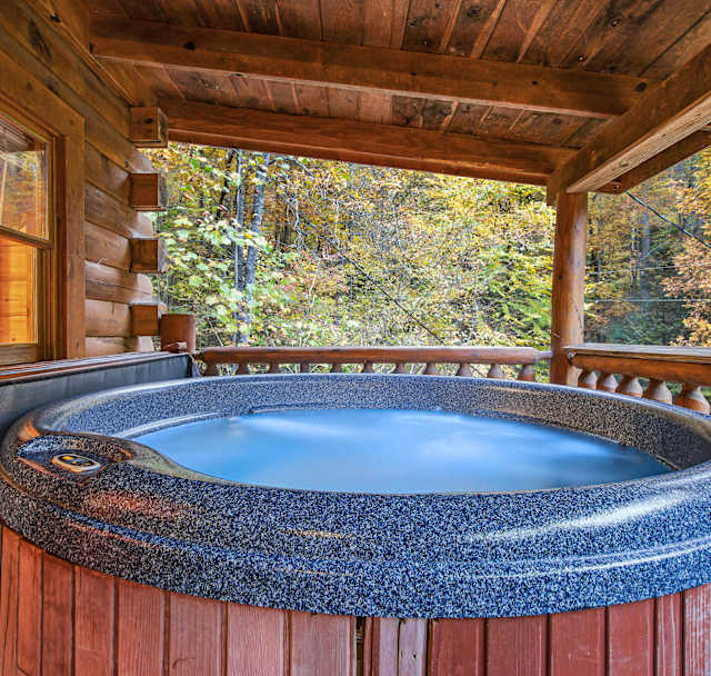 Sugar Bear Cabin