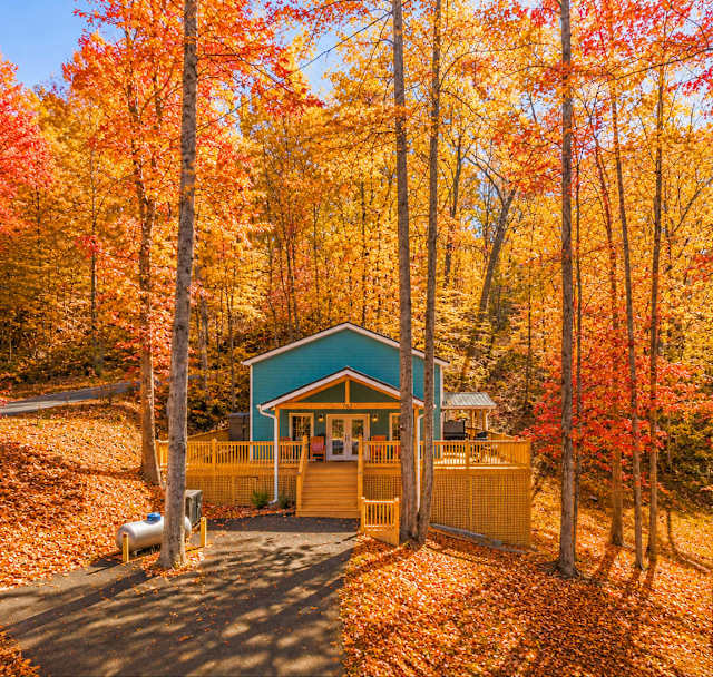 Serenity Cabin