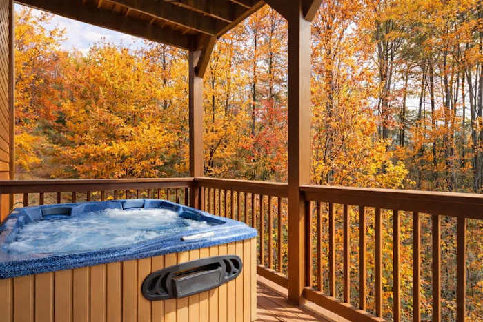Amazing Grace - Charming Cabin photo 4