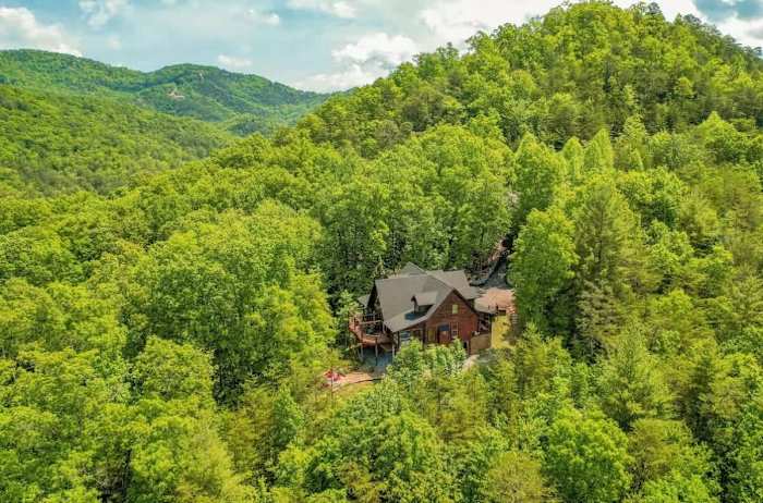 Luxury Cabin w/ Private Waterfall & Hot Tub photo 3