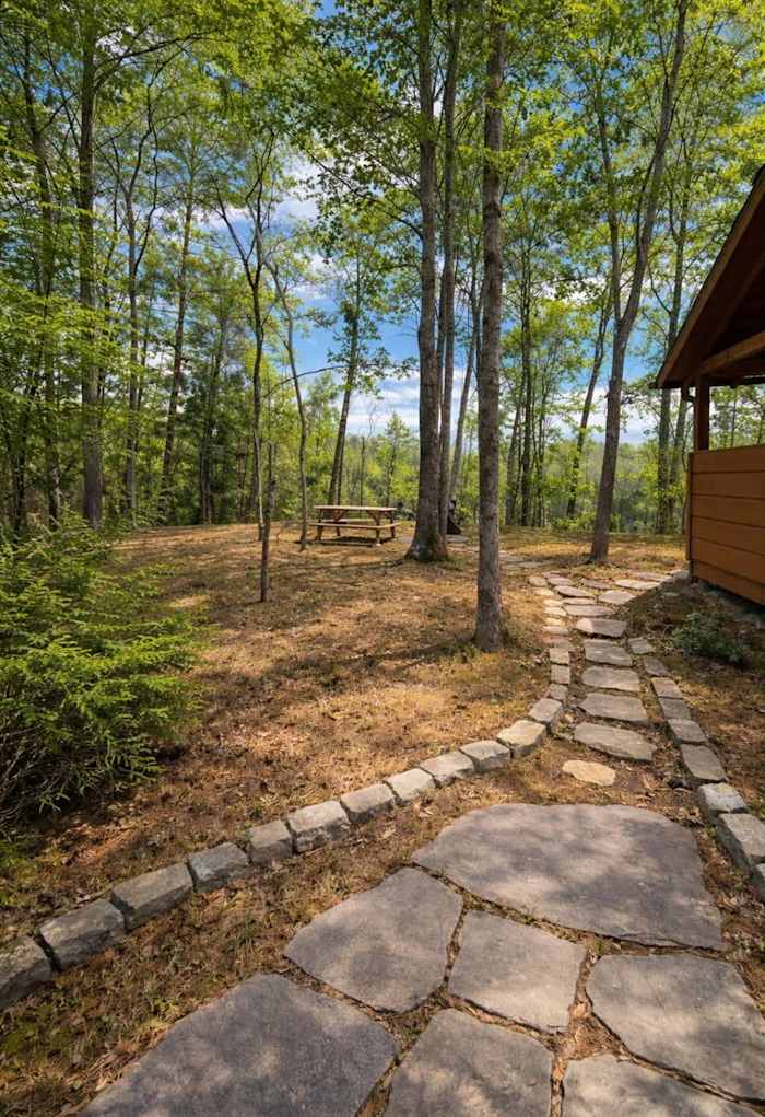 Charming Smoky Mtn Cabin w/ Hot Tub & Arcade photo 3