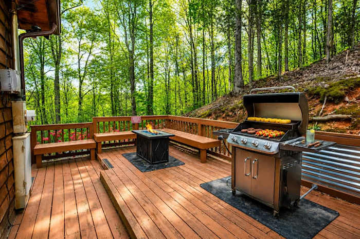 Sky Harbor Family Cabin photo 3