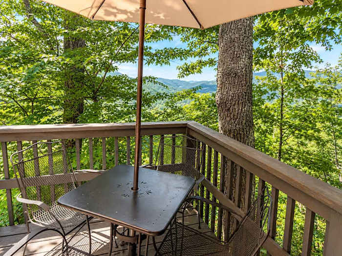 Newly Updated 2BR Family Condo 1 mile to Dollywood photo 2