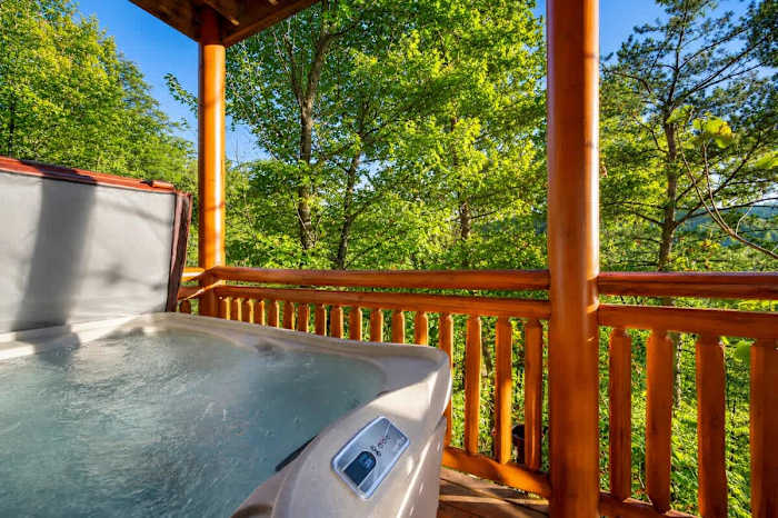 Luxury Cabin with Indoor Pool photo 5