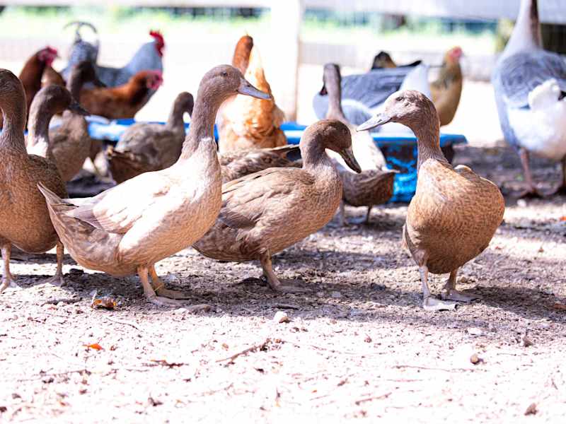 Orange Door barndominium