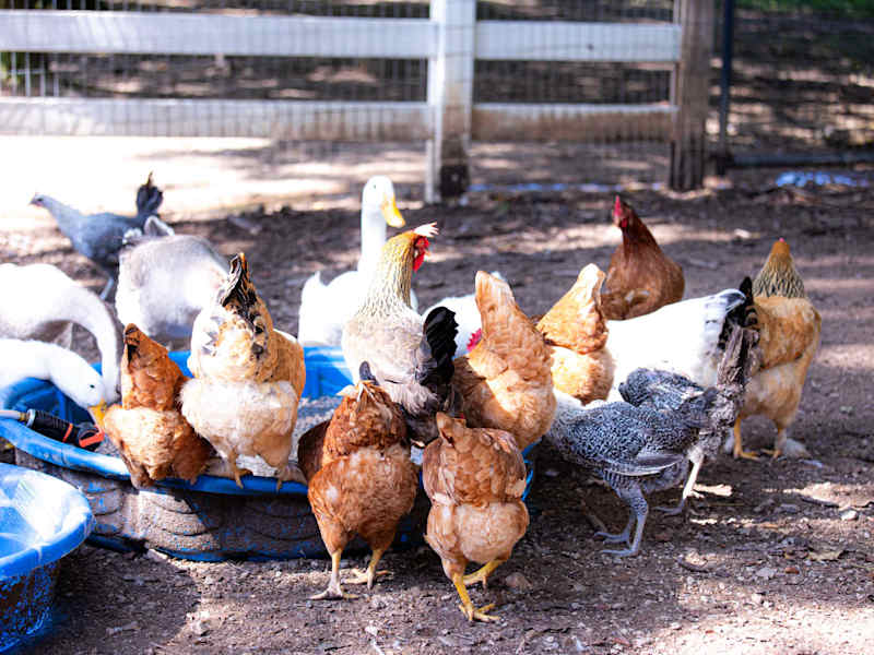 Orange Door interior