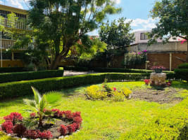 PRADO C14