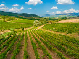 Tuscany farmhouse