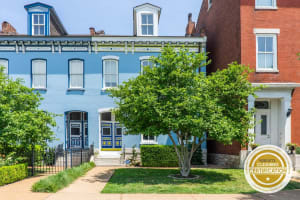 The Lady Emma Lafayette Park with Bowling ABODEbucks — St. Louis, MO — vacation rental
