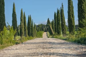 Maremma Villa