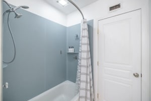 Convenient bathtub and shower in one