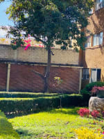 13B PRADERA