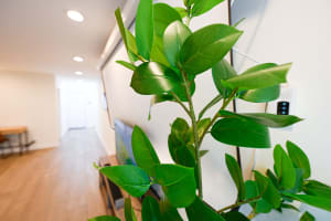 Property Image 51