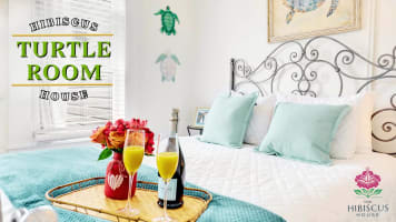 B&B Turtle RM 1-QB