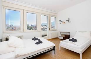 Spacious Zurich Apt, Huge Terrace & Views