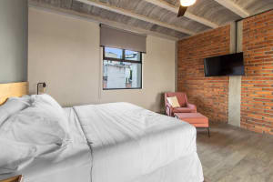 HÉRCULES LOFT 2