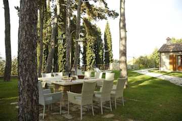 Outdoor table among cypress trees