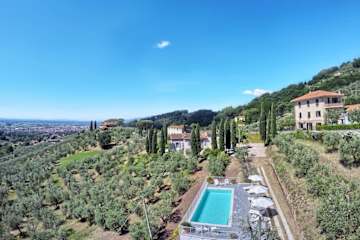 Aerial view of a swimming pool surrounded by olive trees