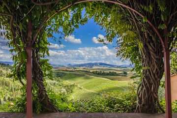 View of rolling hills through an arched climbing shrub