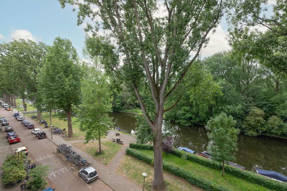 Image 39 de 40