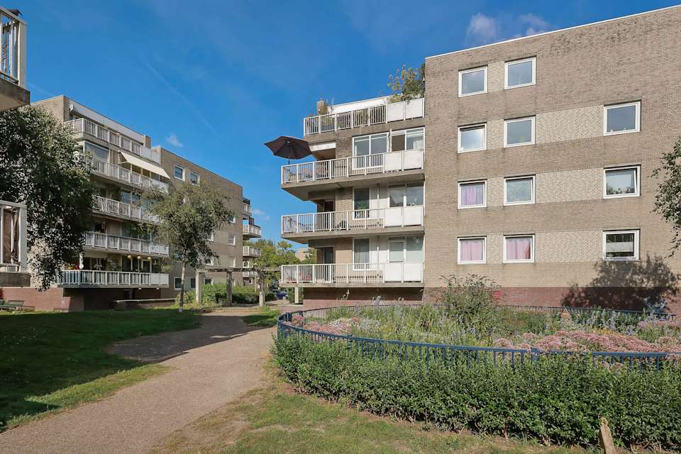 Image 42 de 44