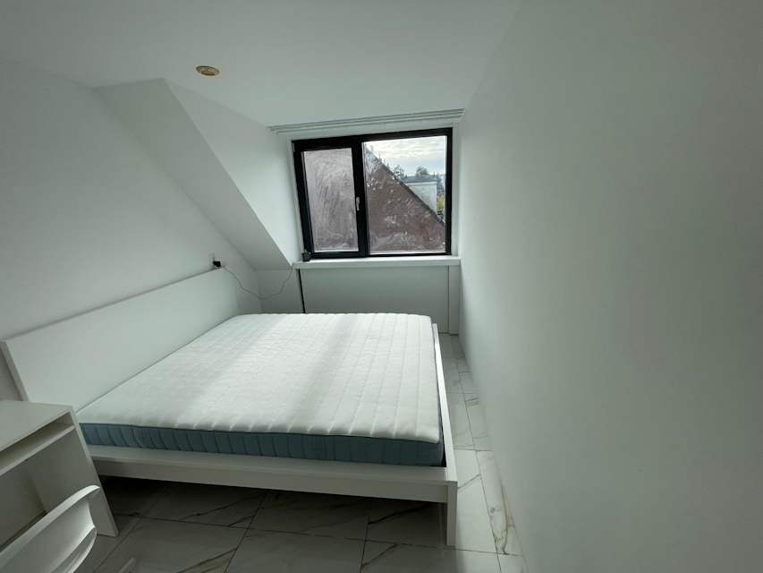 Bild 11 von 22