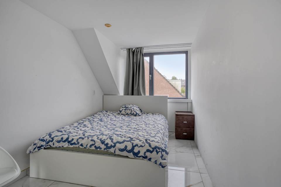 Image 22 de 57
