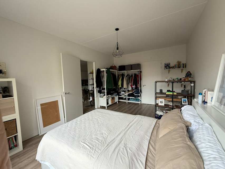 Image 2 de 17