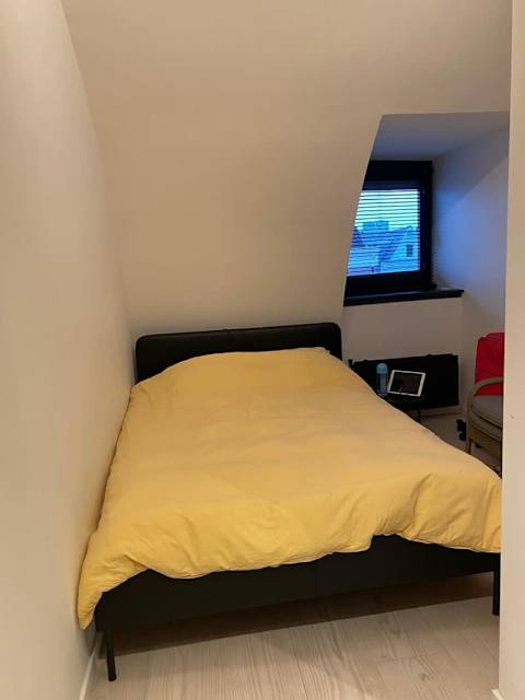 Bild 18 von 33