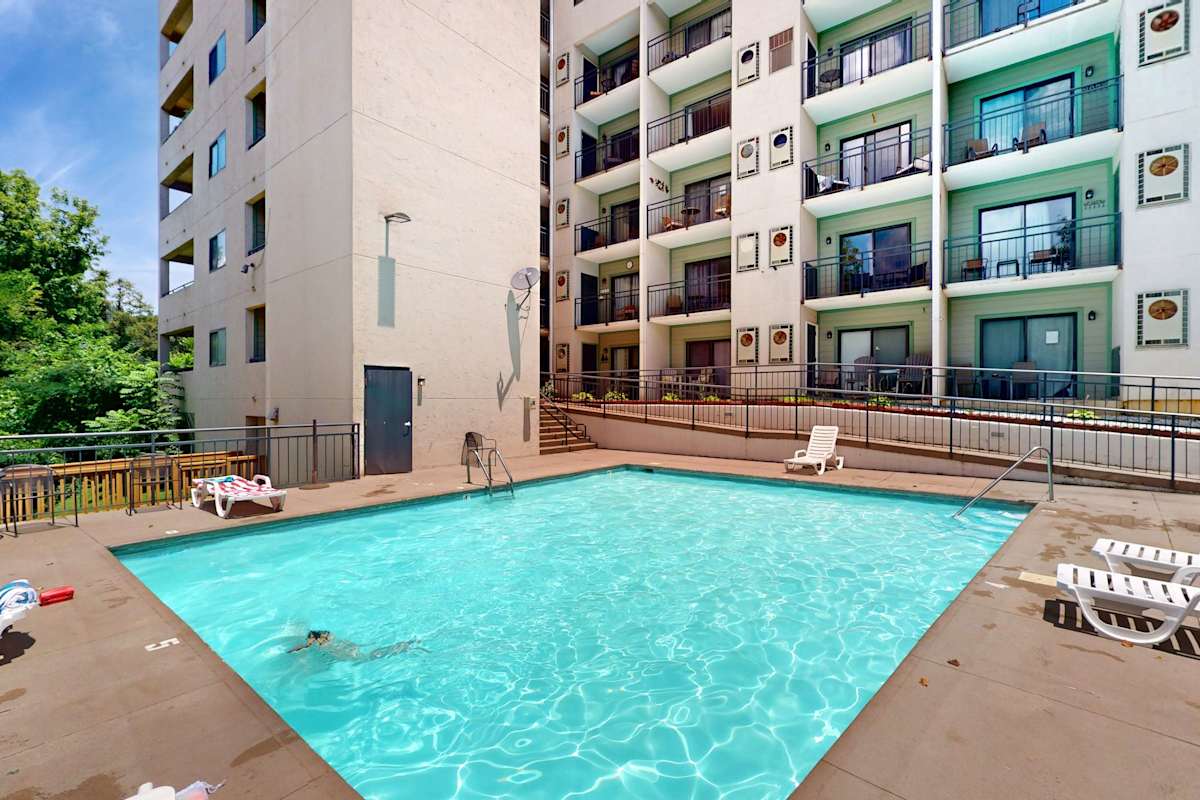 Laurel Inn Condominiums – Black Bear Boogie photo 1