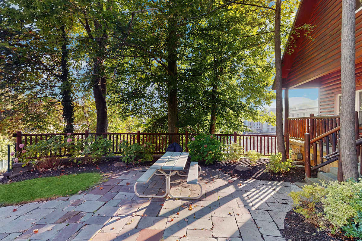Black Bear Hideaway Cabin photo 1