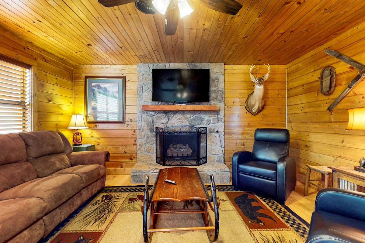 Honey Bear Hideout photo 1