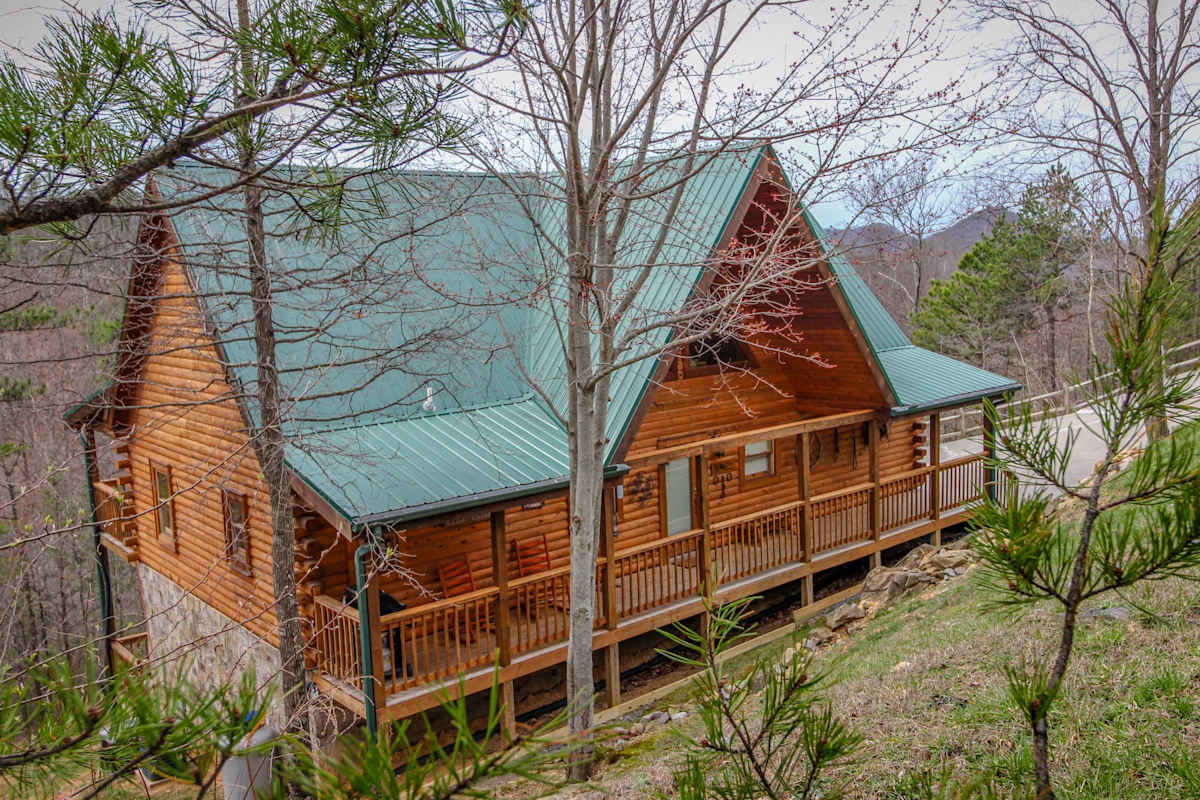 Giddy Up Cabin photo 1