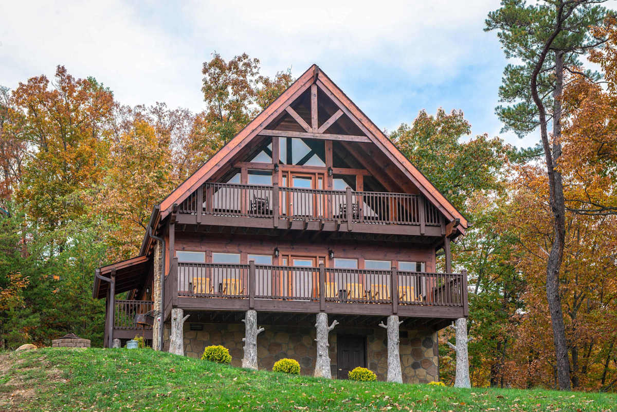 The Laughing Salamander Cabin photo 1