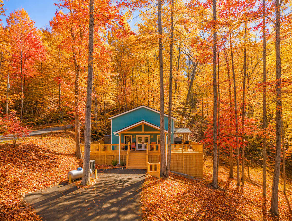 Serenity Cabin photo 1