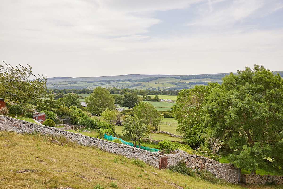 Sunshine Cottage – photo 21