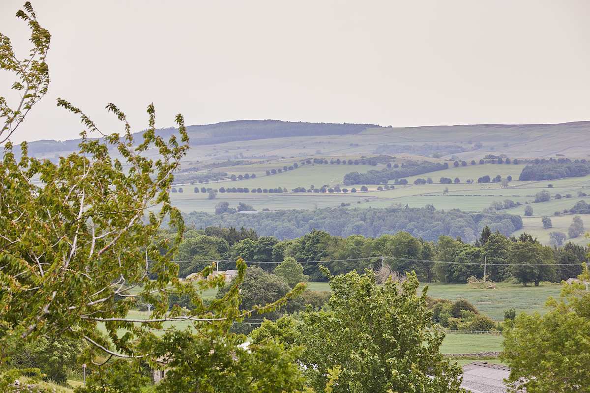 Sunshine Cottage – photo 22