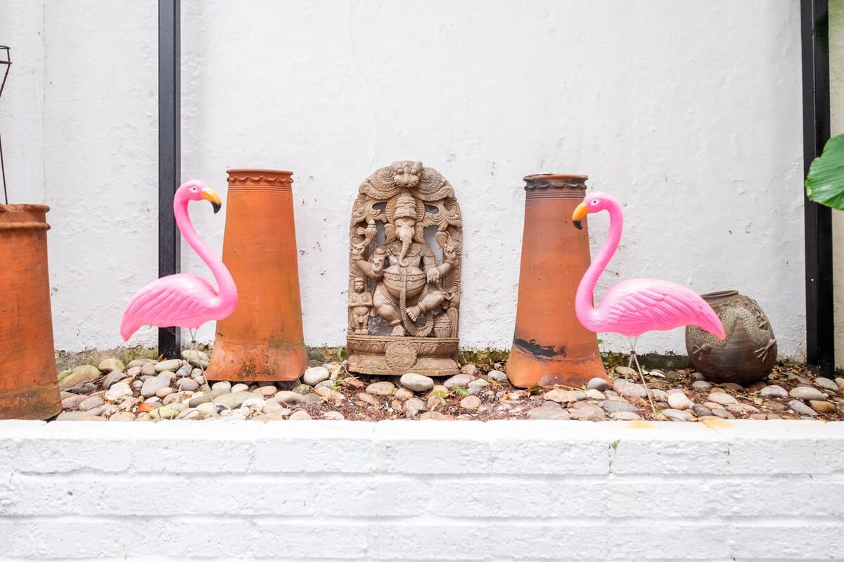 Montpelier Colours – photo 22