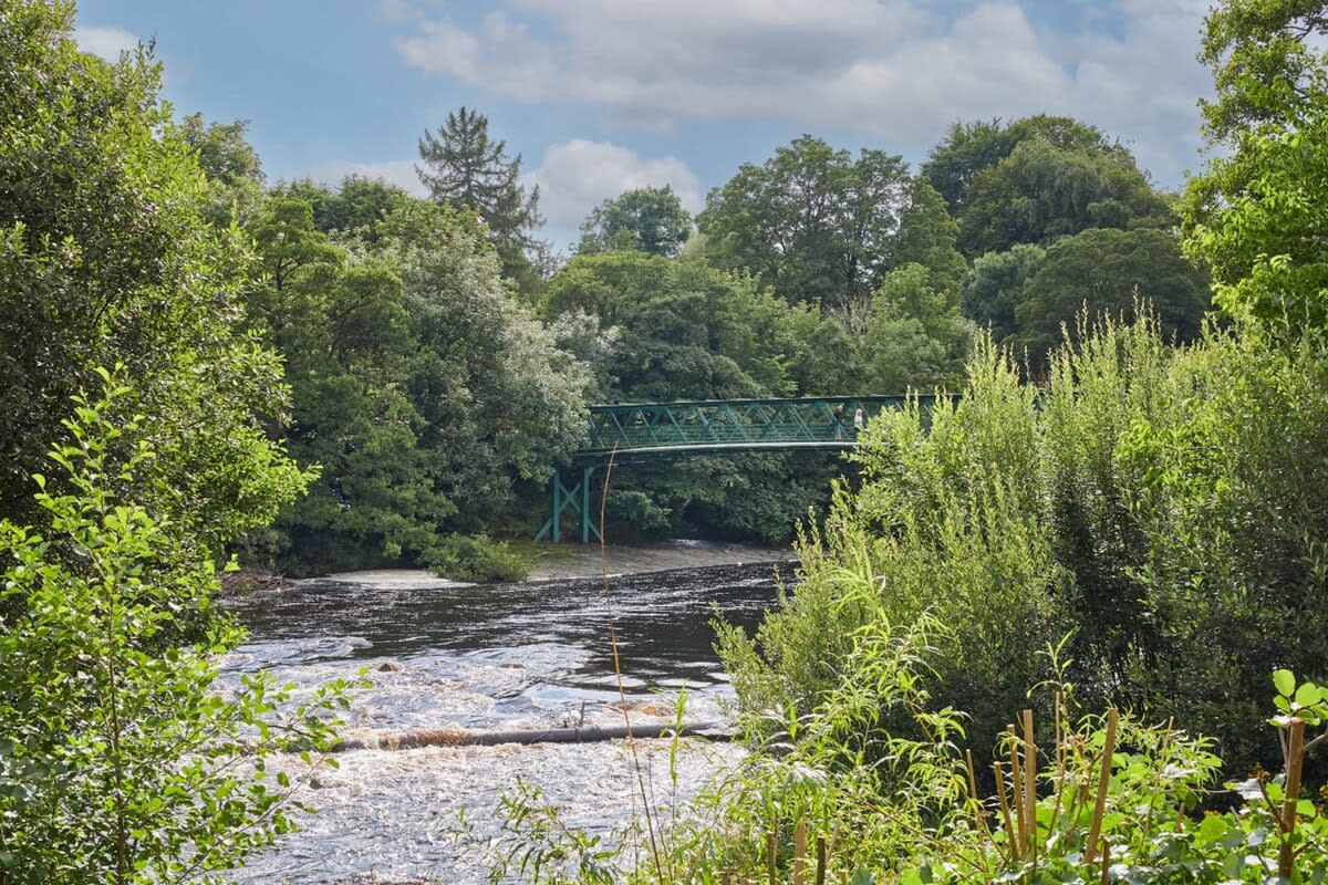 River View Cottage – photo 19