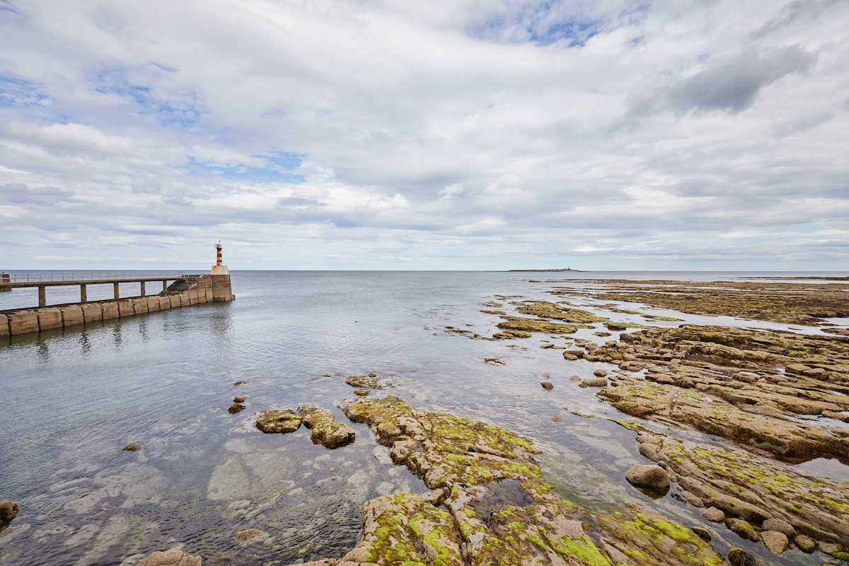 Pier View – photo 21