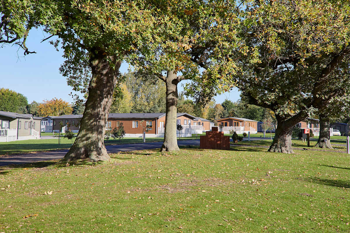 Stone Beck Lodge – photo 28