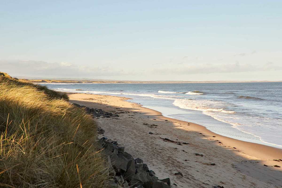 Cosy Cove – photo 24